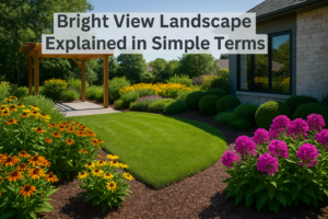 Bright View Landscape