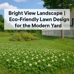 Bright View Landscape